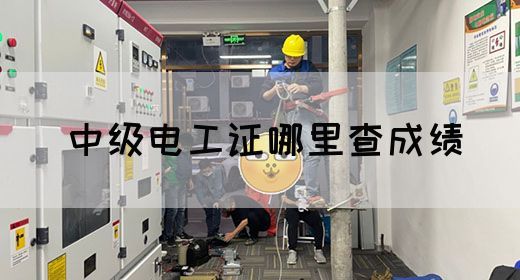 中级电工证哪里查成绩(图1)