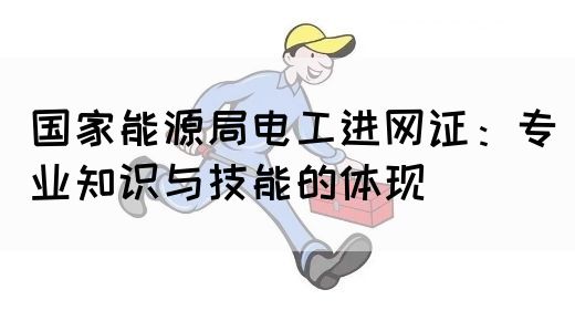 国家能源局电工进网证：专业知识与技能的体现(图1)