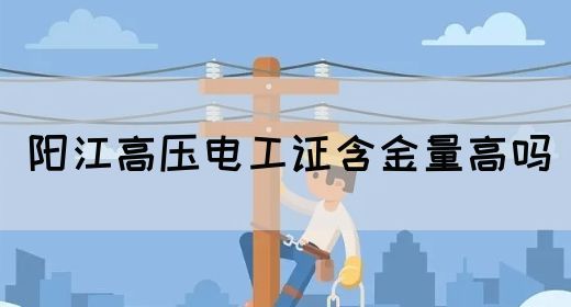 阳江高压电工证含金量高吗(图1)