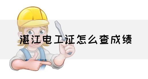 湛江电工证怎么查成绩